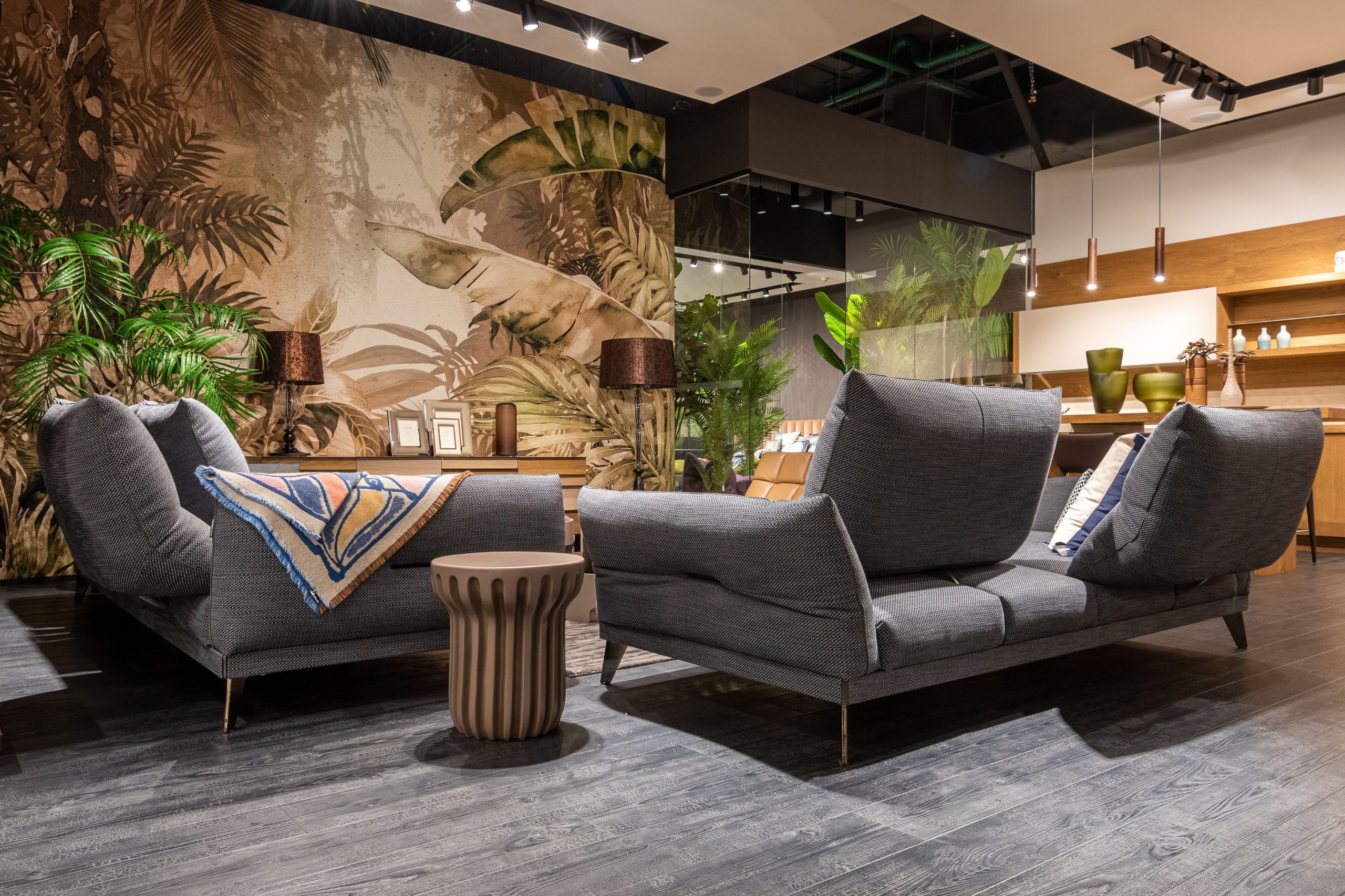 Salon moderne gris avec plantes décoratives